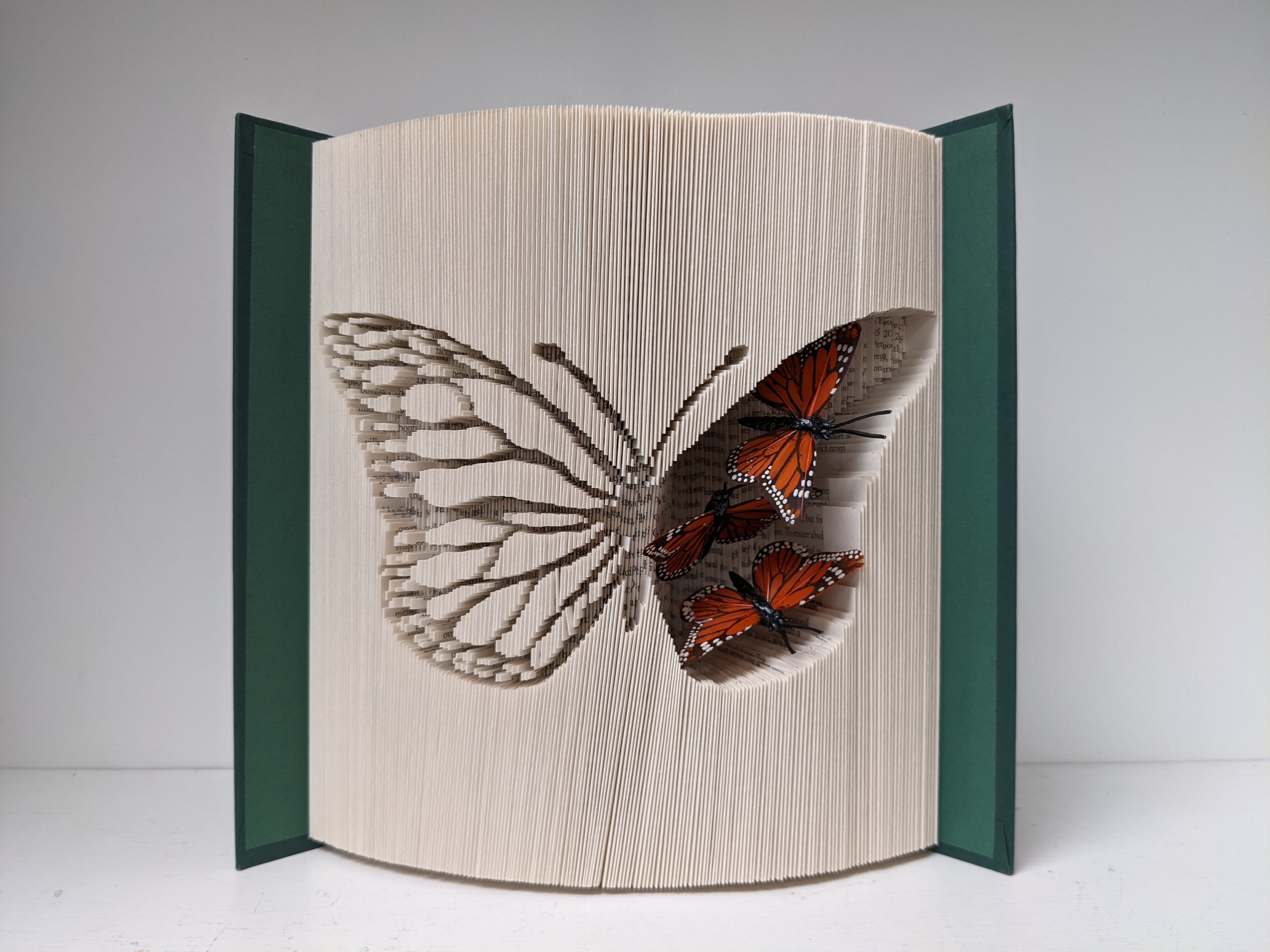 butterfly in a book